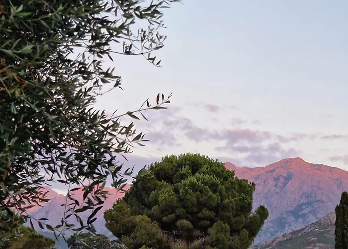 Domek alpejski Casa Figarella Calenzana